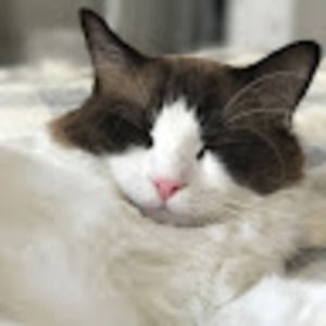 Meet your Posher, Jacquilyn